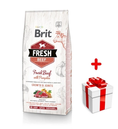 Brit Fresh Beef & Pumpkin Puppy Large Growth & Joints 12kg + MEGLEPETÉS A KUTYÁDNAK 